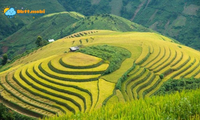 Thoi Tiet Son La 4