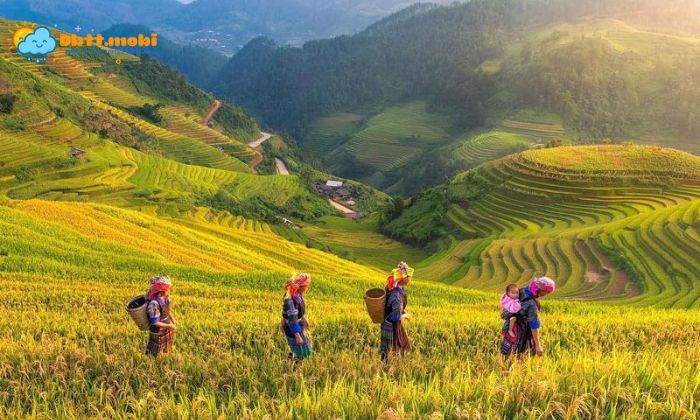 Thoi Tiet Yen Bai 4