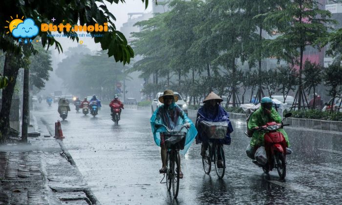 gió bấc là gì
