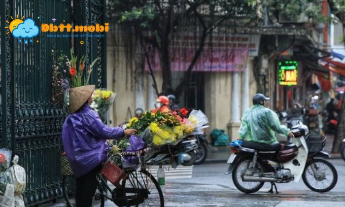 gió bấc là gì