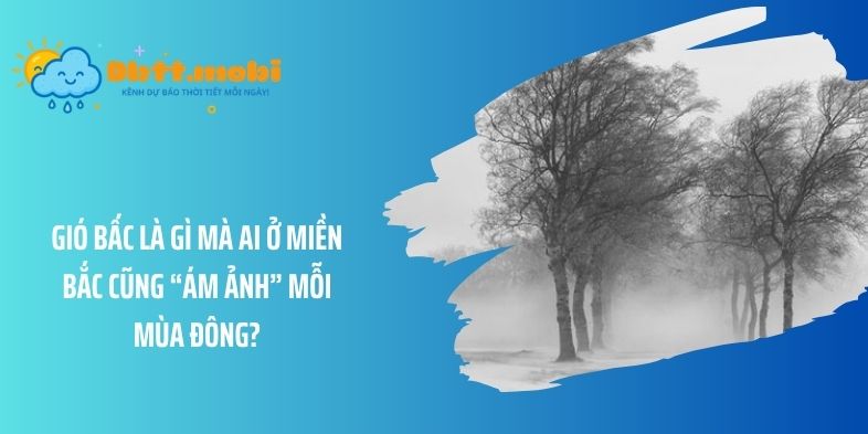 Gió bấc là gì mà ai ở miền Bắc cũng “ám ảnh” mỗi mùa đông?