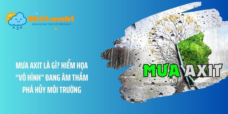 Mưa axit là gì? Hiểm họa “vô hình” đang âm thầm phá hủy môi trường