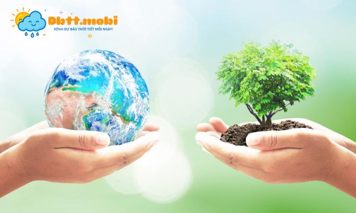 Thủng tầng ozone gây ra hậu quả gì