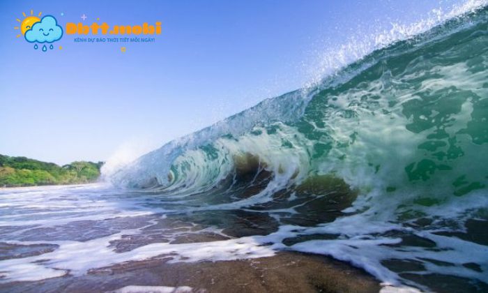 thủy triều là gì thủy triều là gì