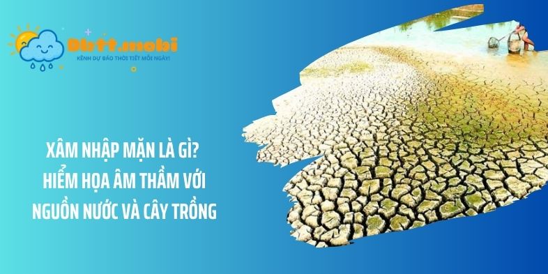 Xâm nhập mặn là gì? Hiểm họa âm thầm với nguồn nước và cây trồng